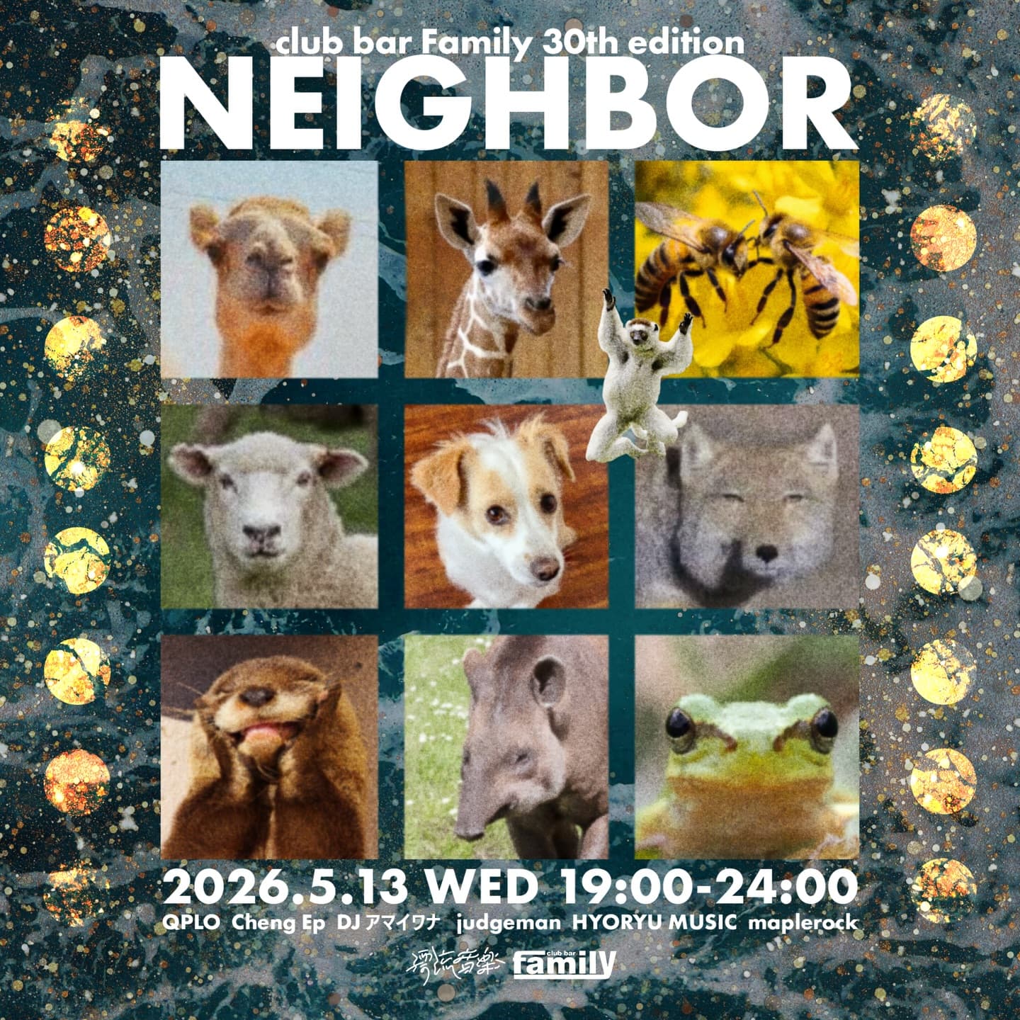 漂流音楽のレギュラーイベントNEIGHBOR🧑🩰*:・゚✧